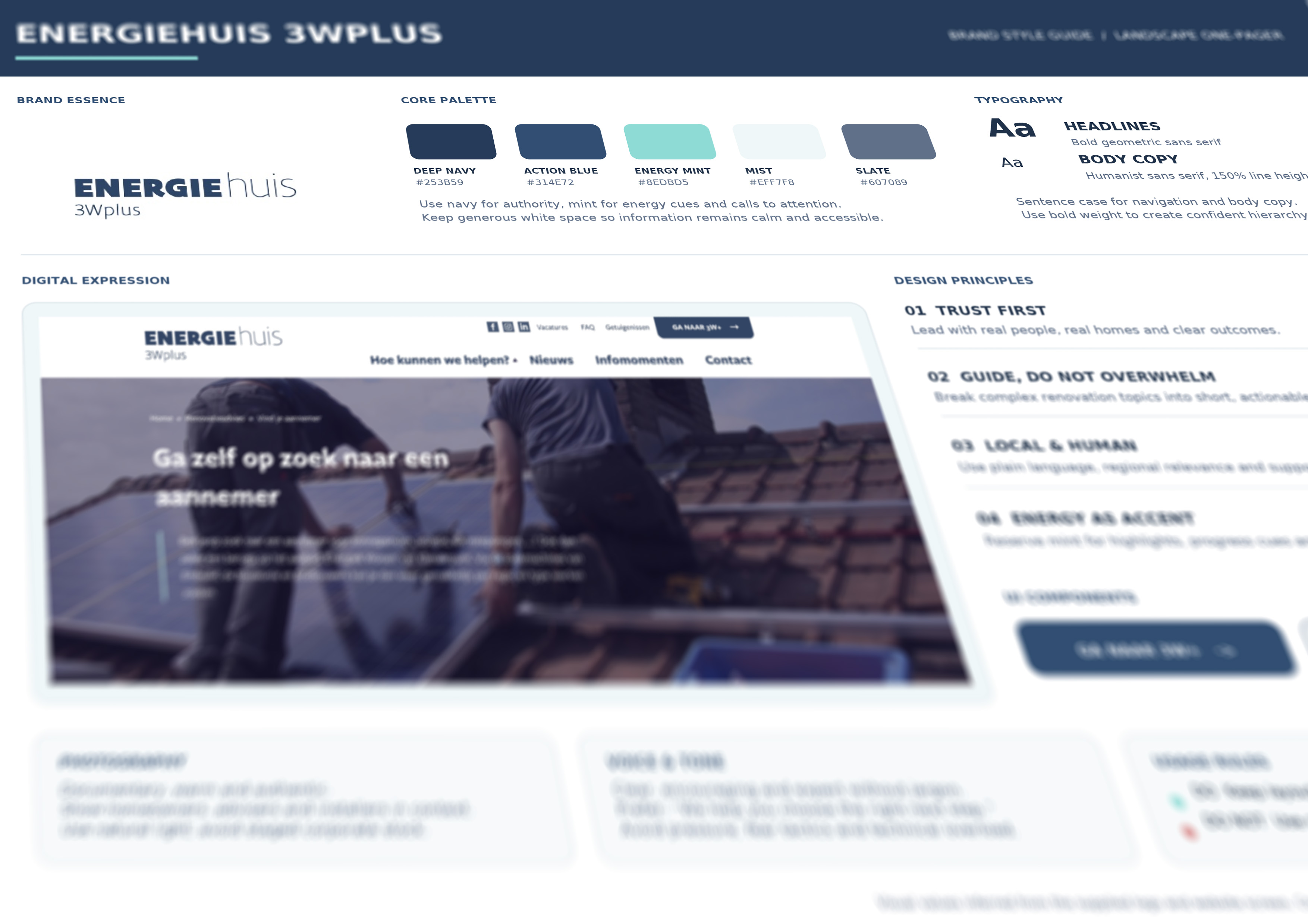 Website example for a energy advice service